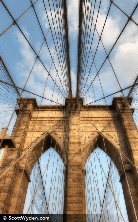 The Brooklyn Web